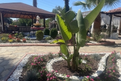 oludeniz-butik-otel-68